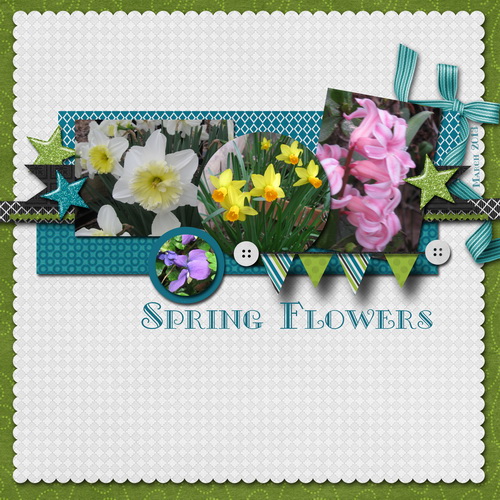Spring Flowers