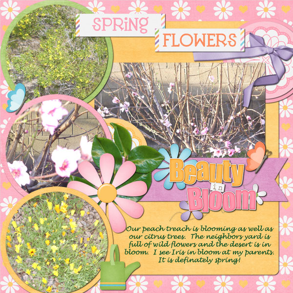 Spring Flowers