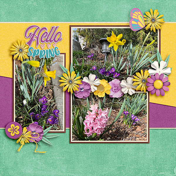 Spring-Flowers18