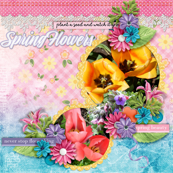Spring-flowers21
