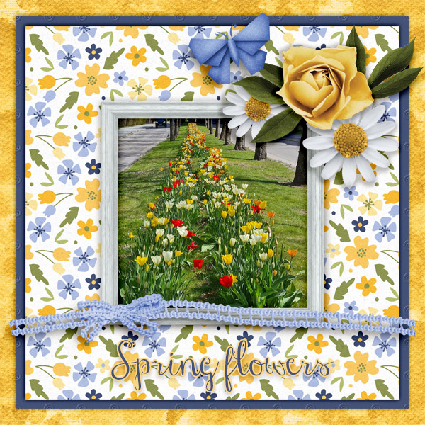 Spring-Flowers24