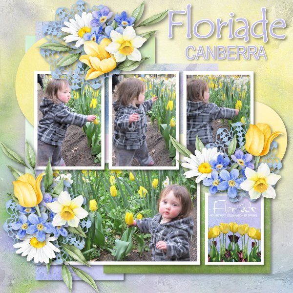 spring flowers3.jpg