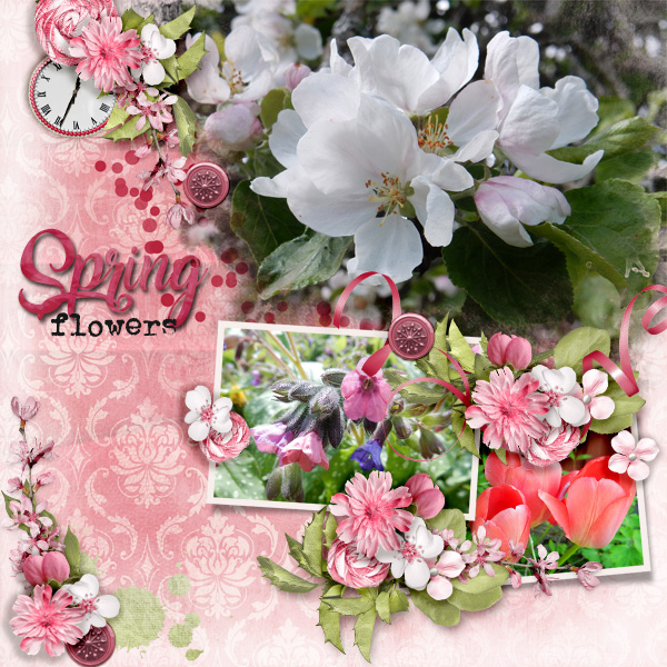 Spring-flowers7