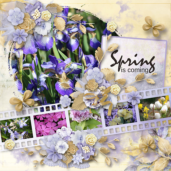 Spring-Flowers8