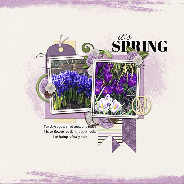 Spring-Flowers_web1