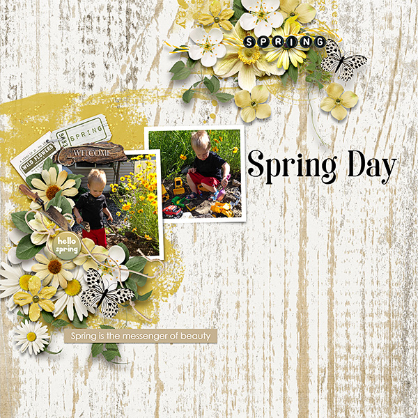 Spring-Fun