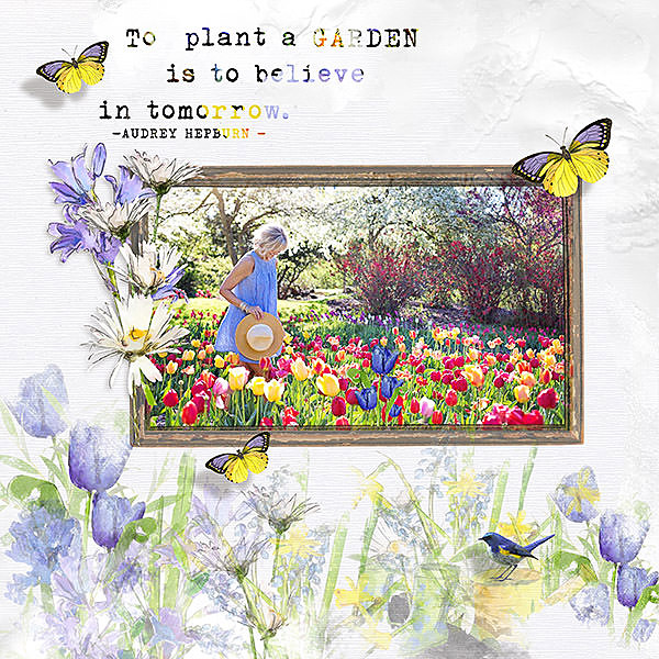 Spring Garden