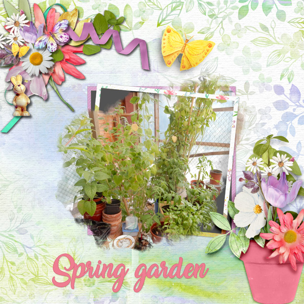 Spring-garden1