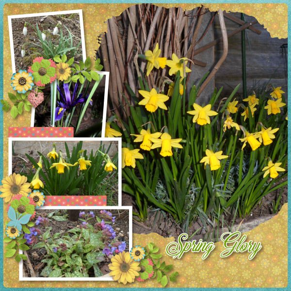 Spring Glory