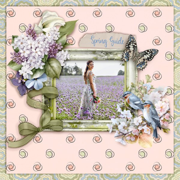 Spring-guide.jpg