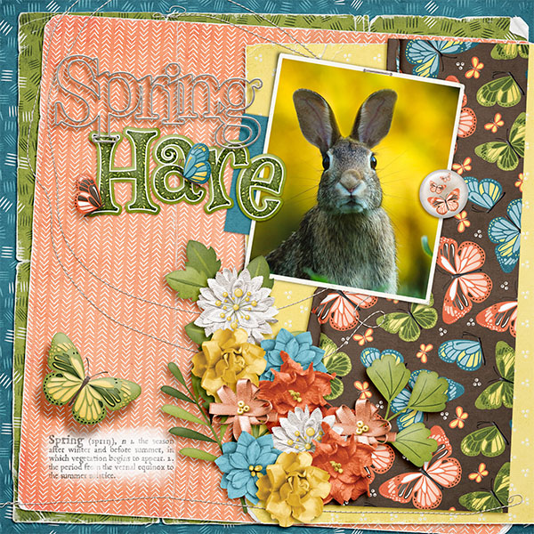 Spring Hare