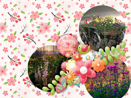 Spring has Spring