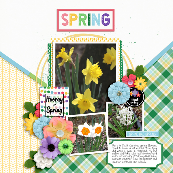 Spring Has Spring