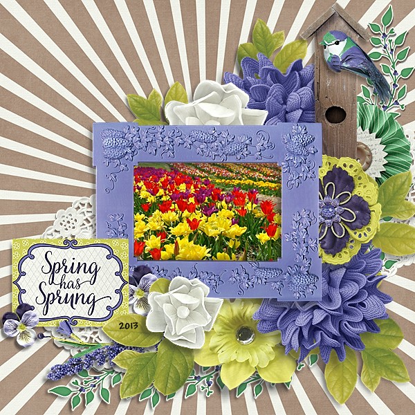 Spring Has Sprung 2013