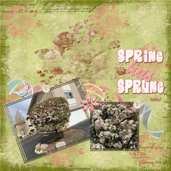 Spring has Sprung 2021