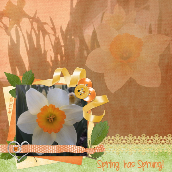Spring has Sprung!