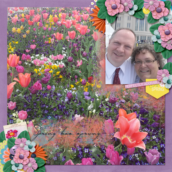 Spring Has Sprung