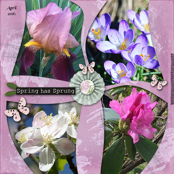 Spring Has Sprung