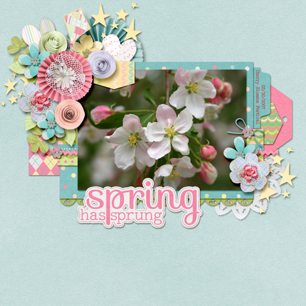Spring Has Sprung