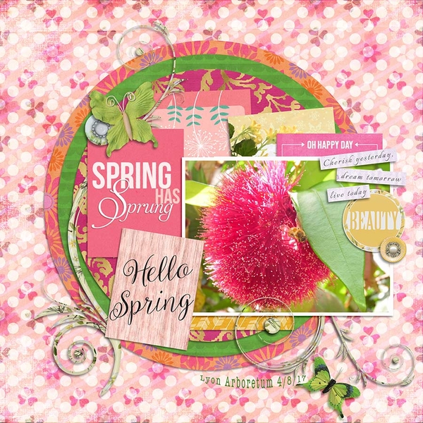Spring has Sprung