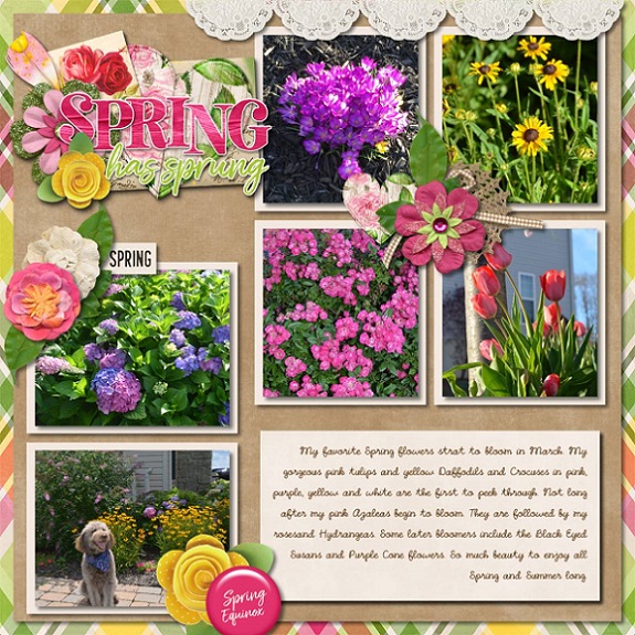 Spring Has Sprung