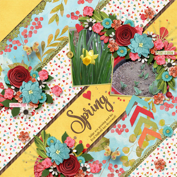 Spring Has Sprung
