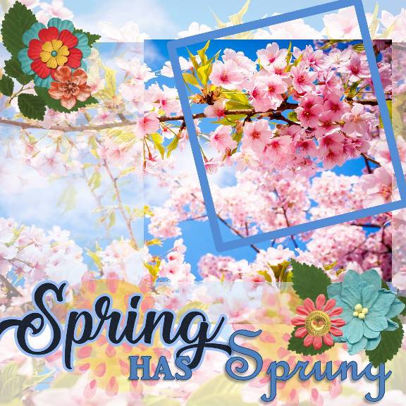 Spring has Sprung