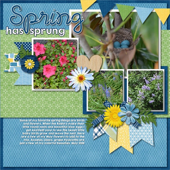 Spring has Sprung!