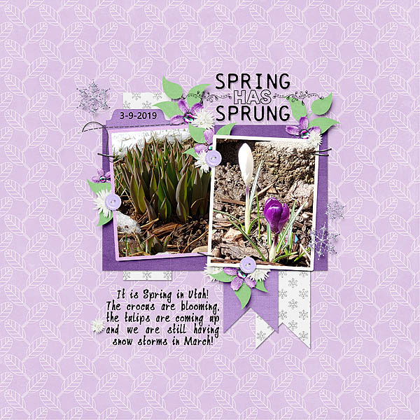 Spring Has Sprung