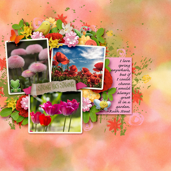 Spring Has Sprung