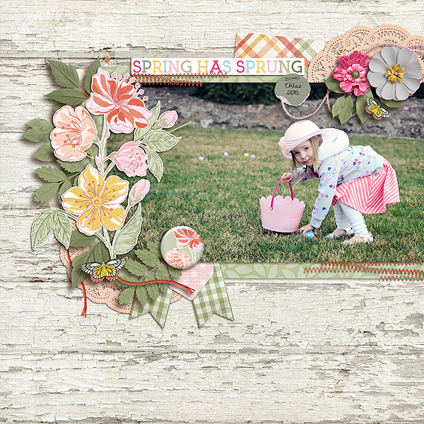 Spring Has Sprung