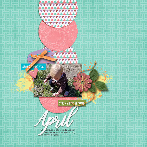Spring Has Sprung