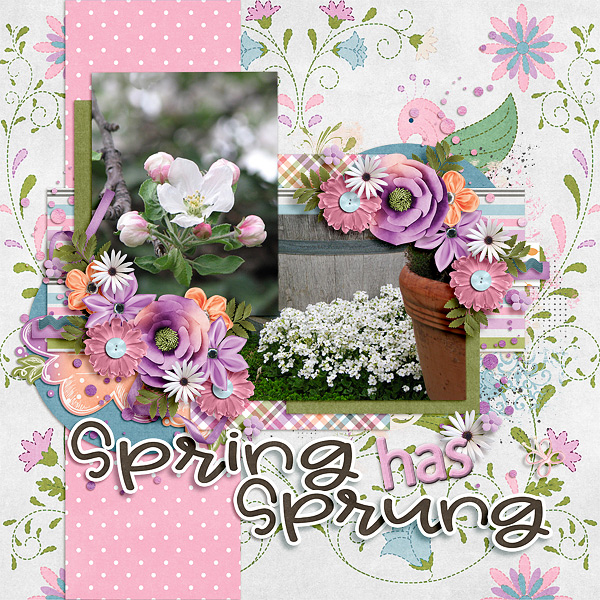 Spring has Sprung