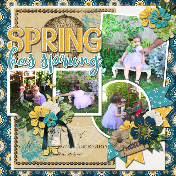 Spring Has Sprung