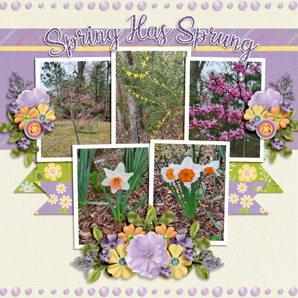 Spring Has Sprung