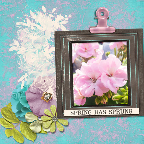 Spring has sprung