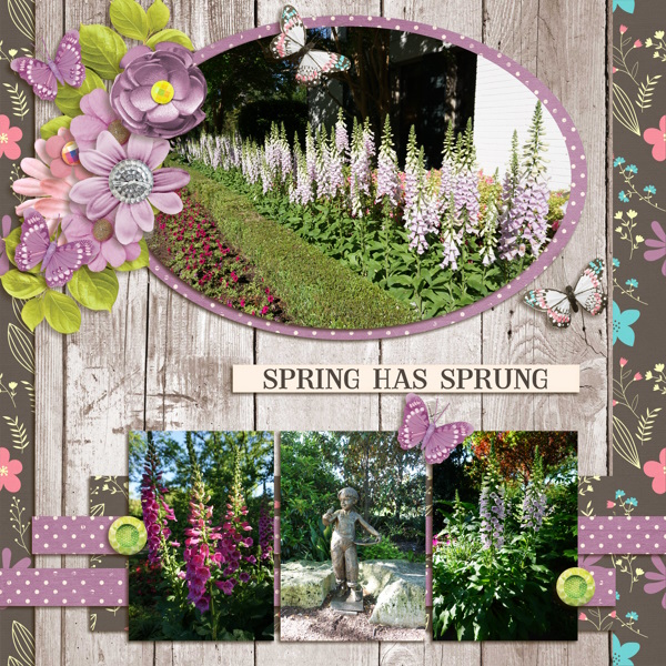 Spring has sprung