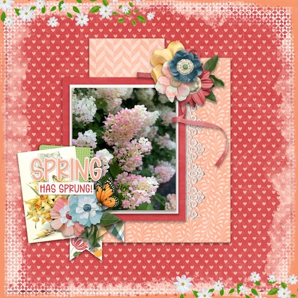 Spring has Sprung