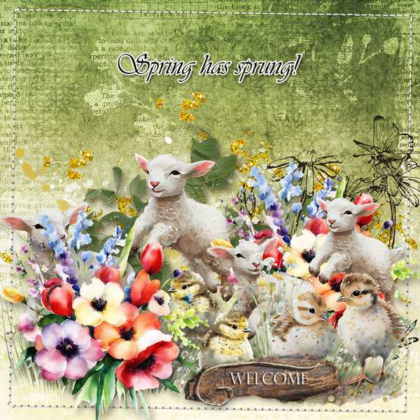 Spring has sprung