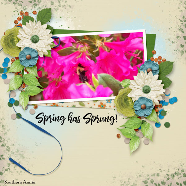 Spring has Sprung