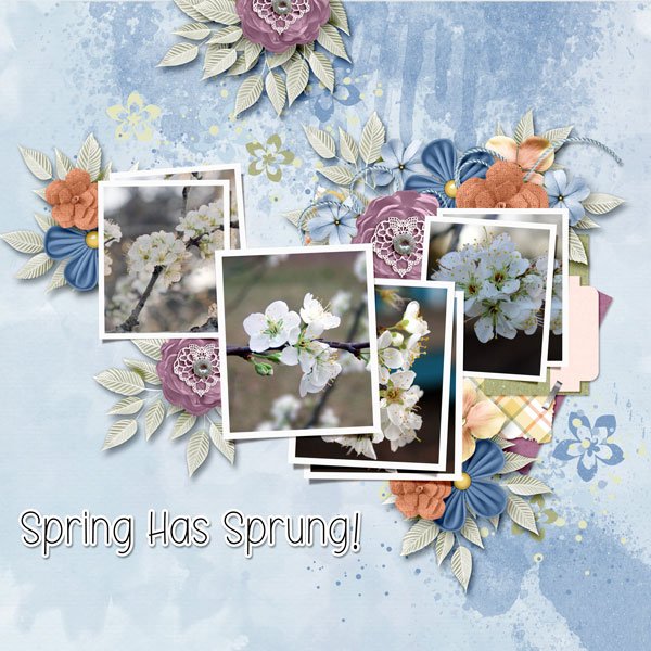 Spring Has Sprung