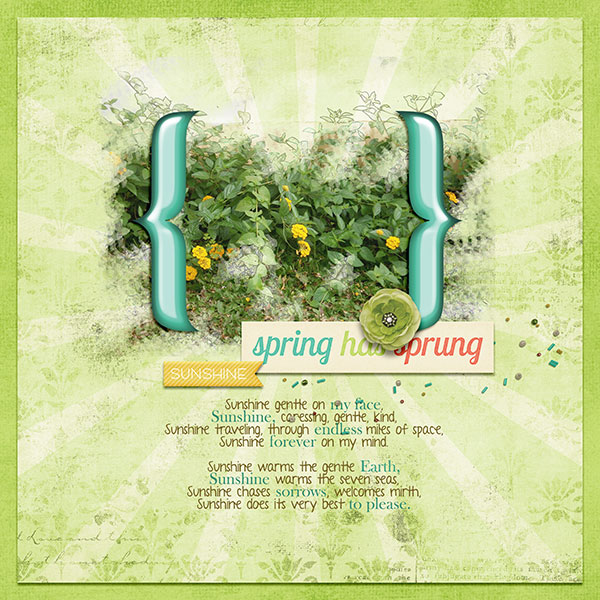 Spring has Sprung