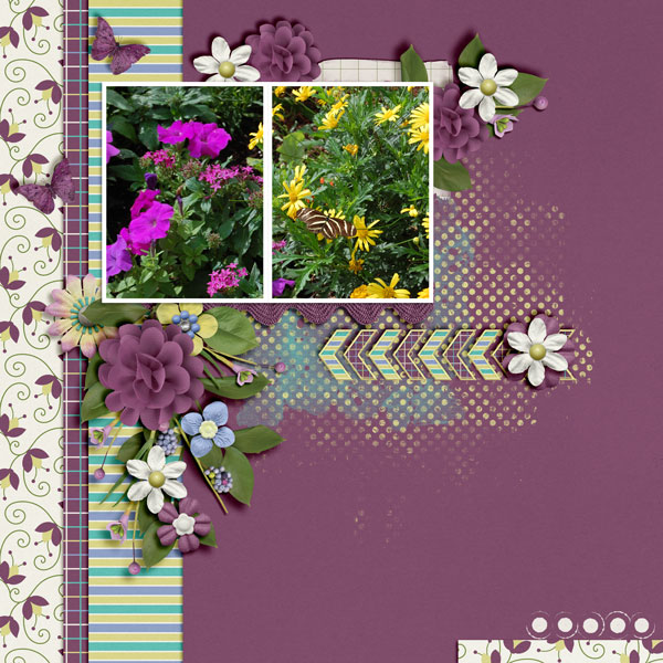 Spring-Has-Sprung1