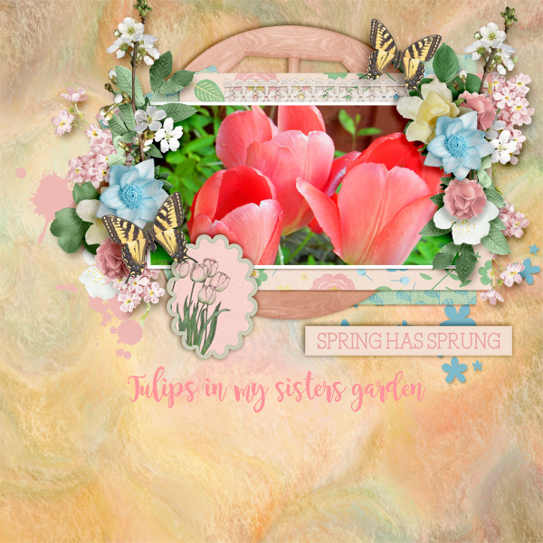 Spring-has-sprung12