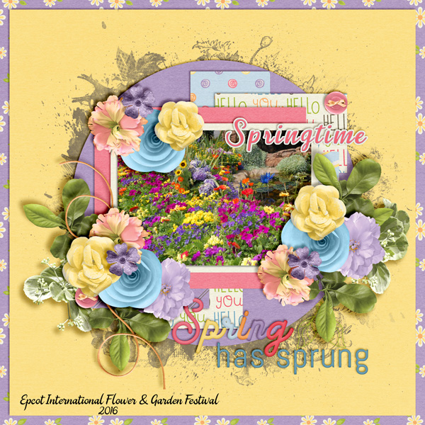 Spring-Has-Sprung14