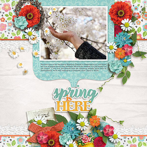 Spring Here