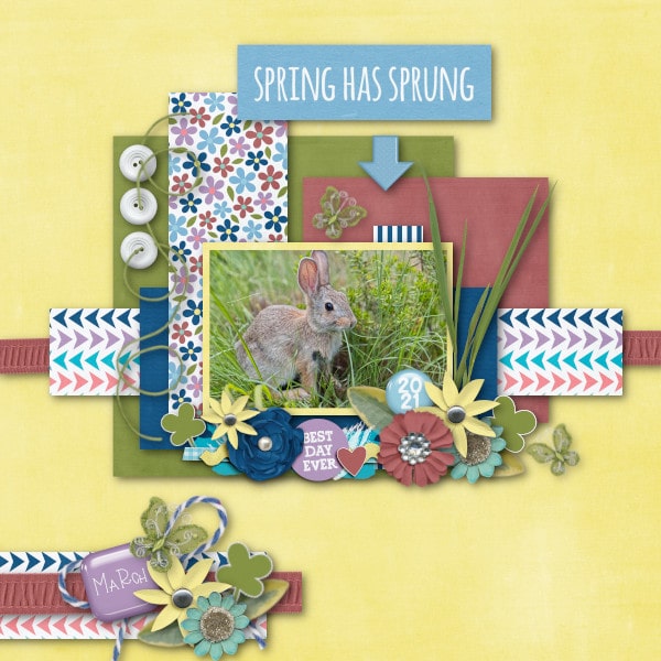 Spring Hop!