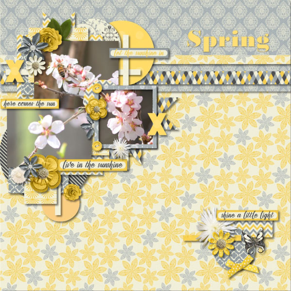 Spring III