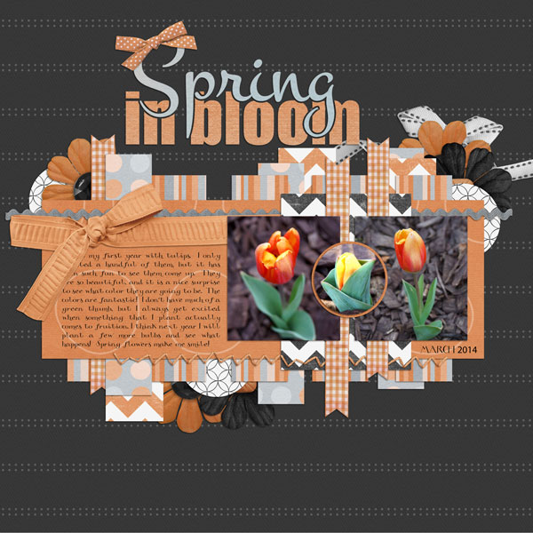 Spring in bloom