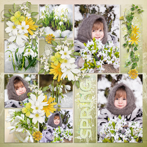 Spring In Bloom